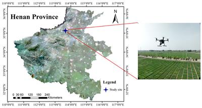 Winter wheat ear counting based on improved YOLOv7x and Kalman filter tracking algorithm with video streaming